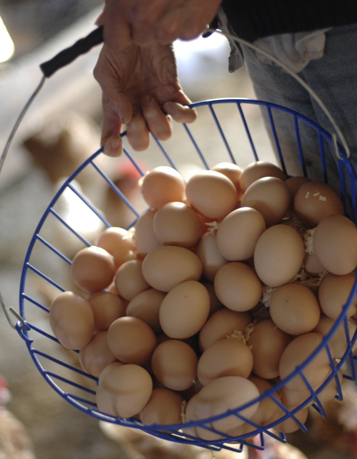 Farmers & Bakers photograph 12