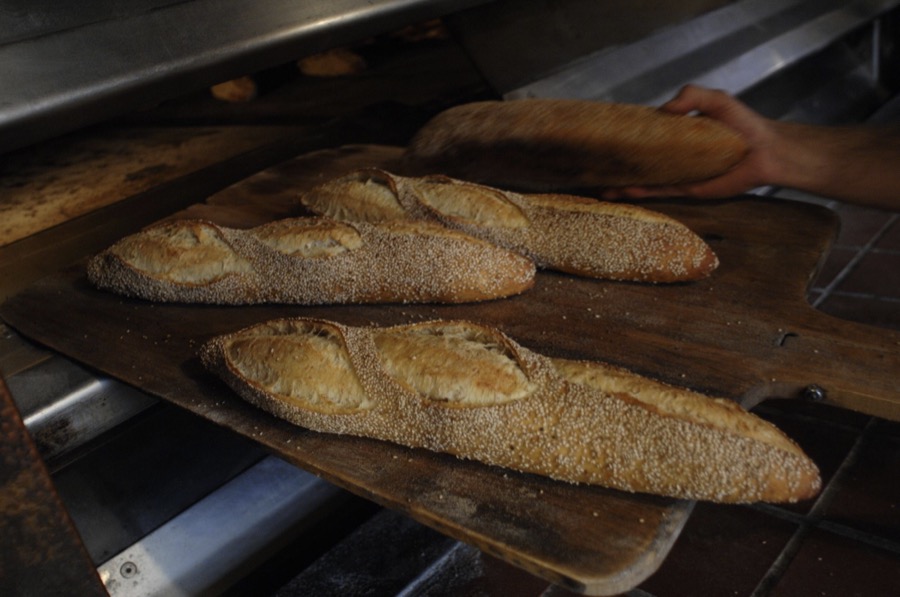 Farmers & Bakers photograph 16